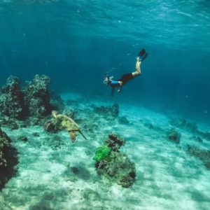 Snorkeling in Maui