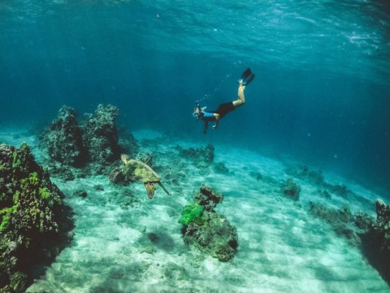 Snorkeling in Maui