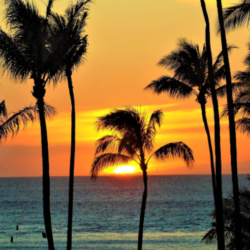 10 Fascinating Facts and Statistics about Maui, Hawaii